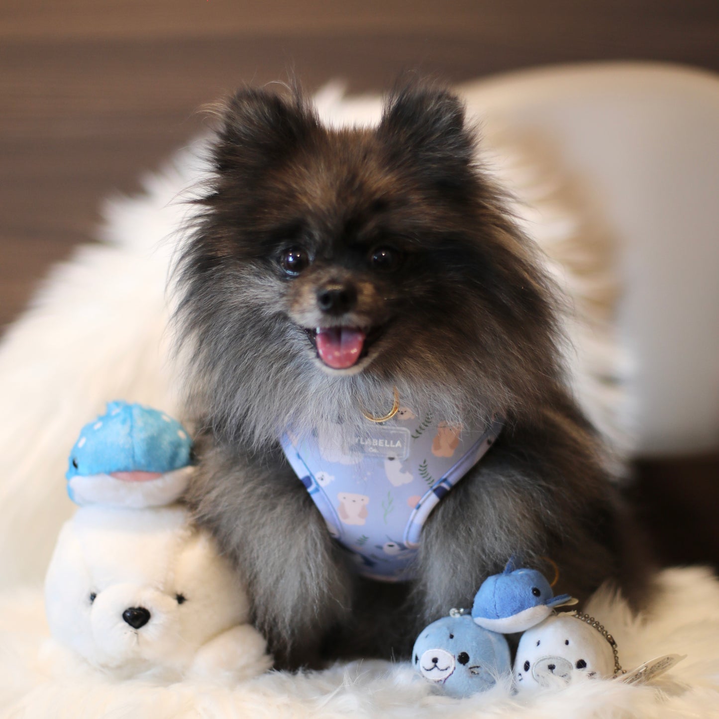 Sea-lly Creatures Dog Harness