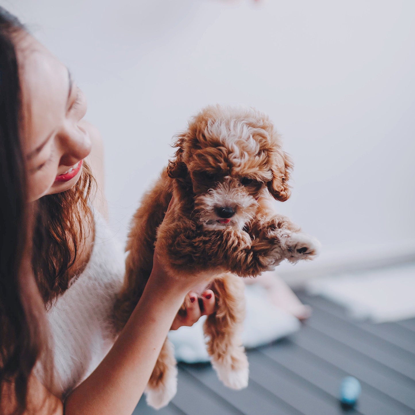 Puppy Graduation Program