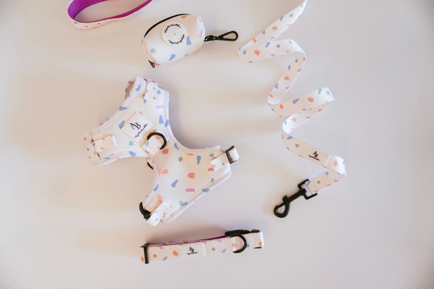 Confetti Dreams Dog Leash