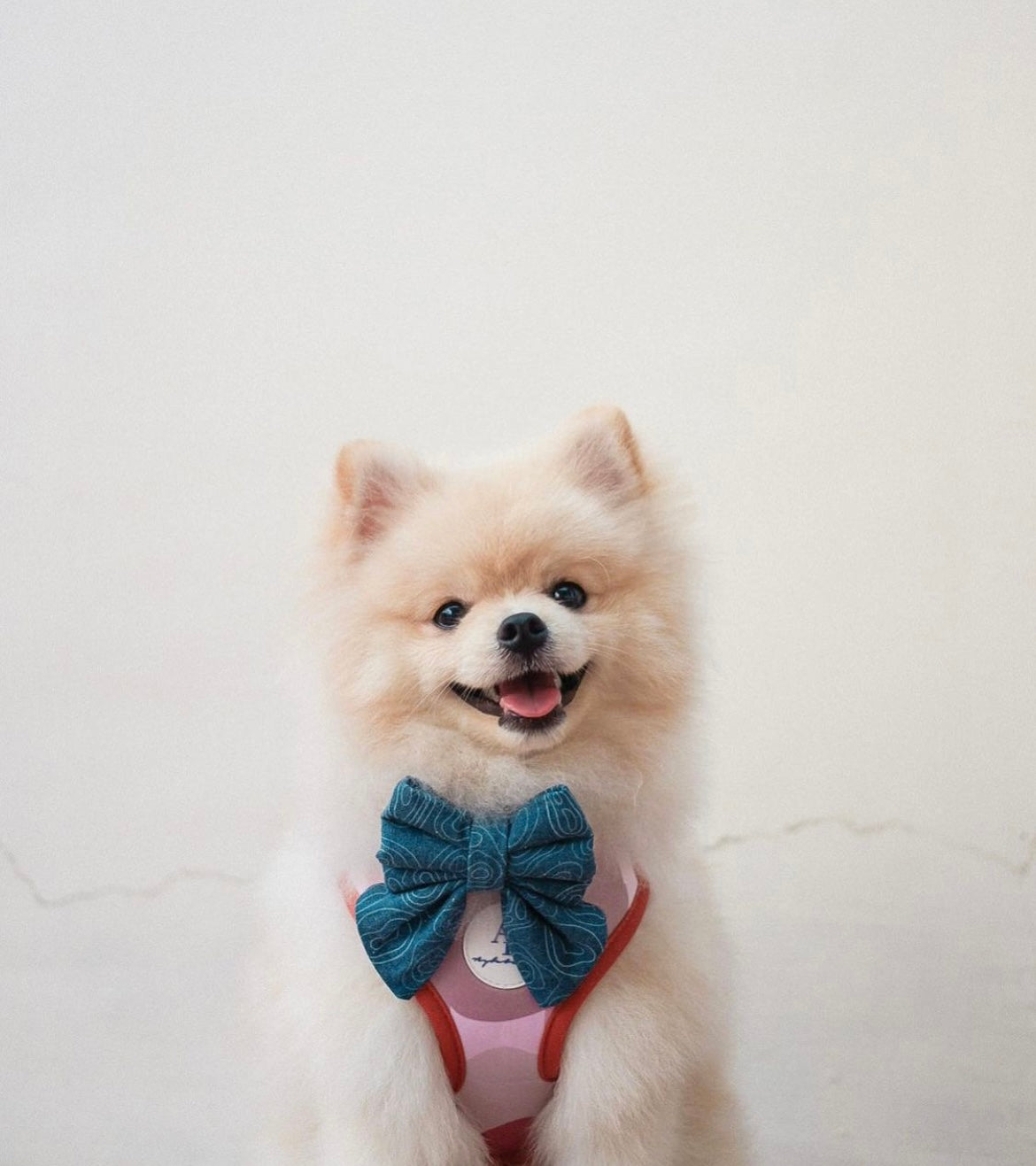 Nordic Woods Dog Harness