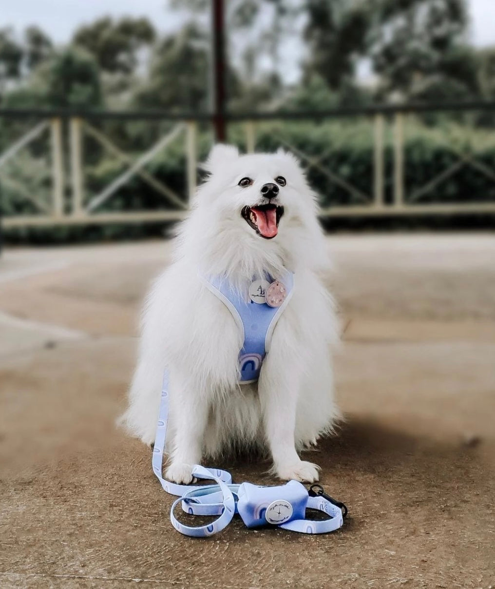 Bella Cuddles Dog Harness