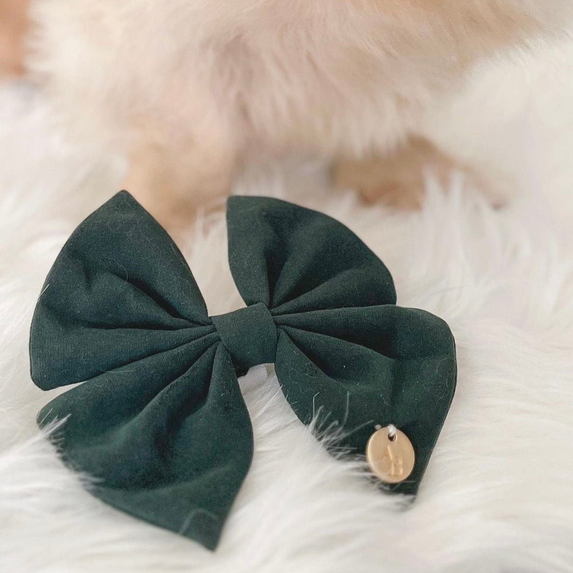 Dark Green Velvet Bow Tie