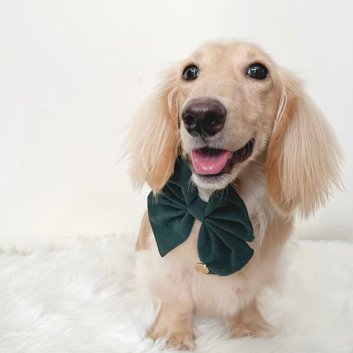 Dark Green Velvet Bow Tie