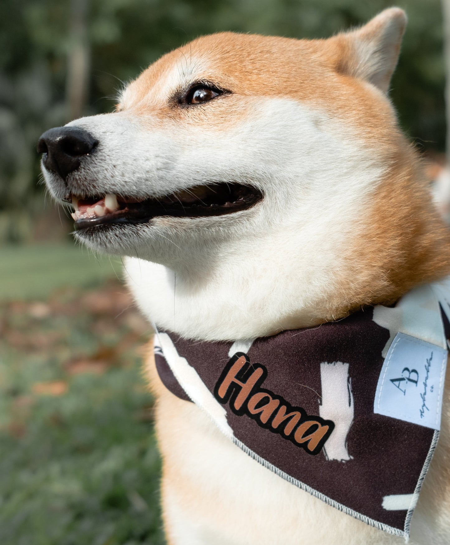 P.S. I Love You Dog Bandana