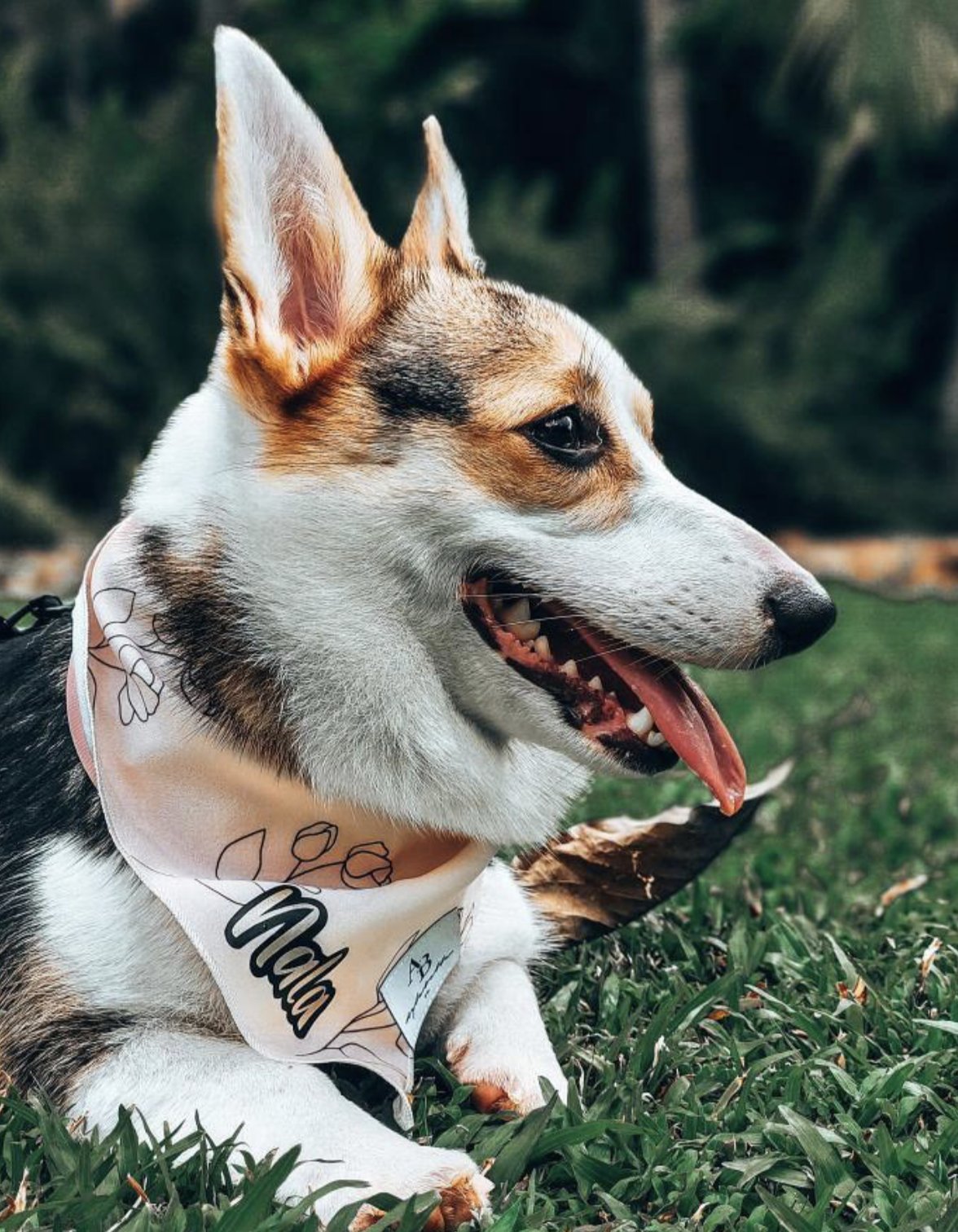 Lily's Garden Bandana