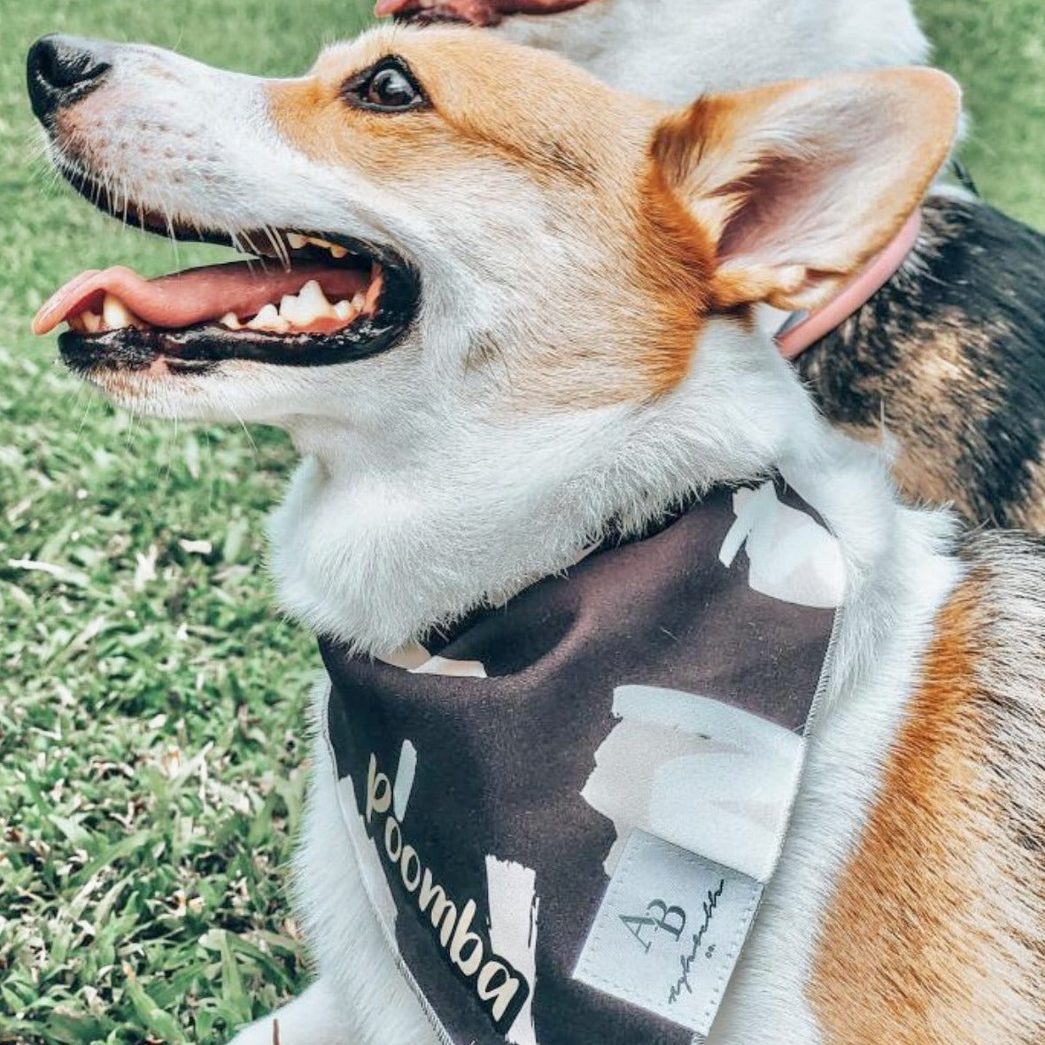 P.S. I Love You Dog Bandana