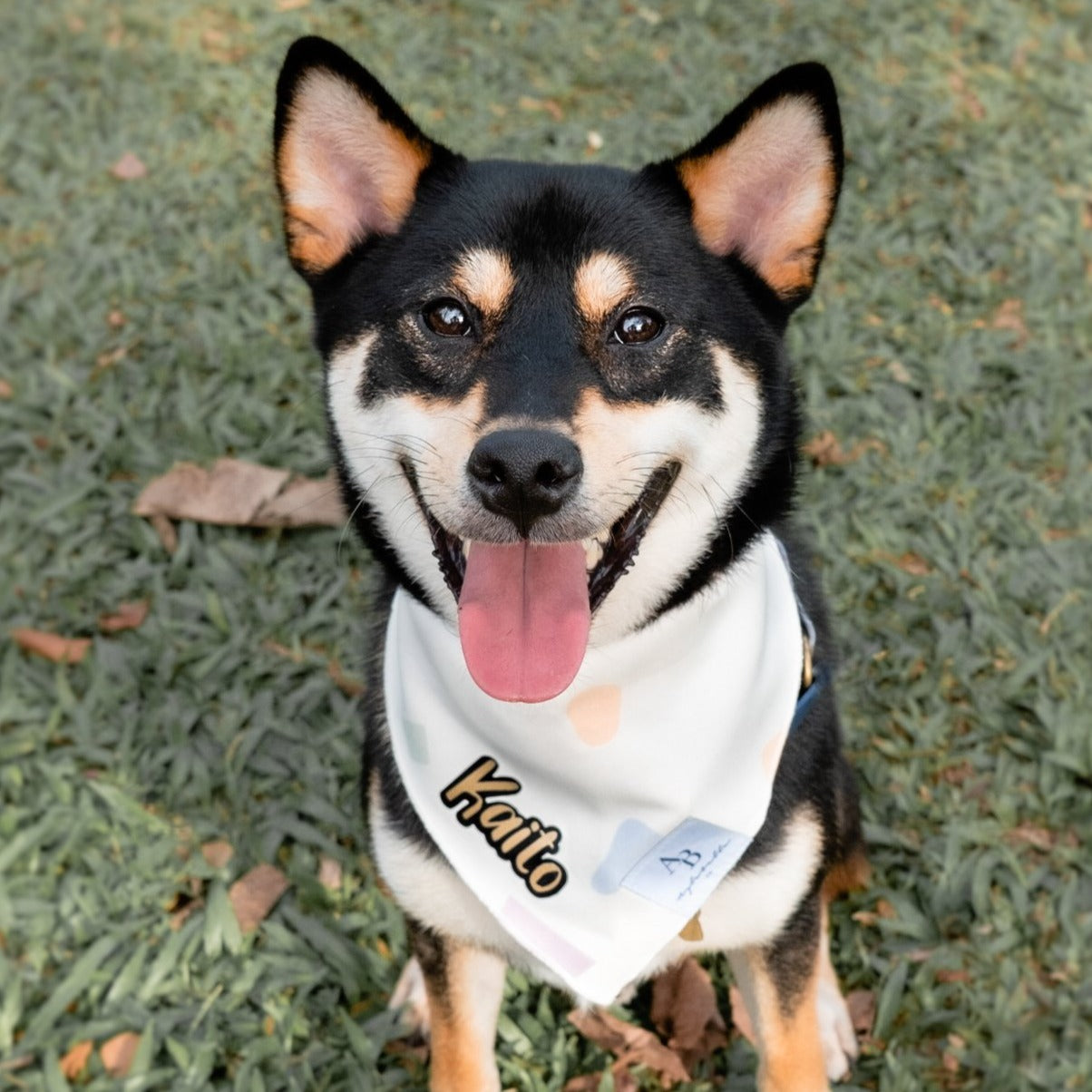 Confetti Dreams Dog Bandana