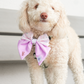 Pink Blossom Dog Sailor Bow Tie