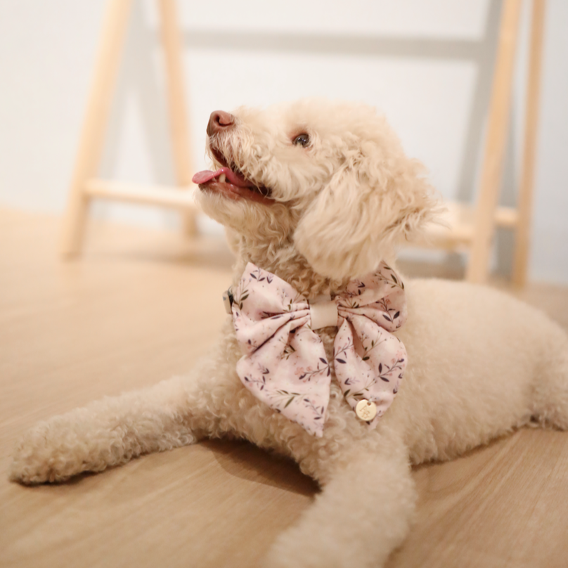 Baby Bunnies Sailor Bow Tie