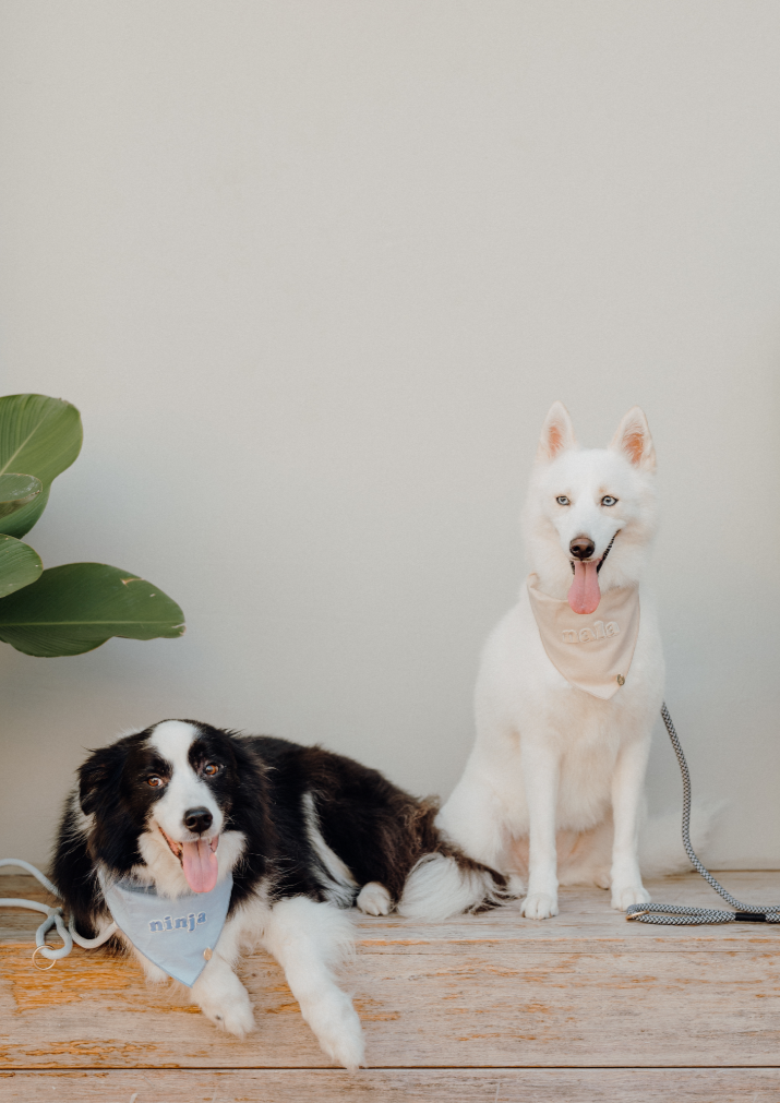 Cream Linen Dog Bandana