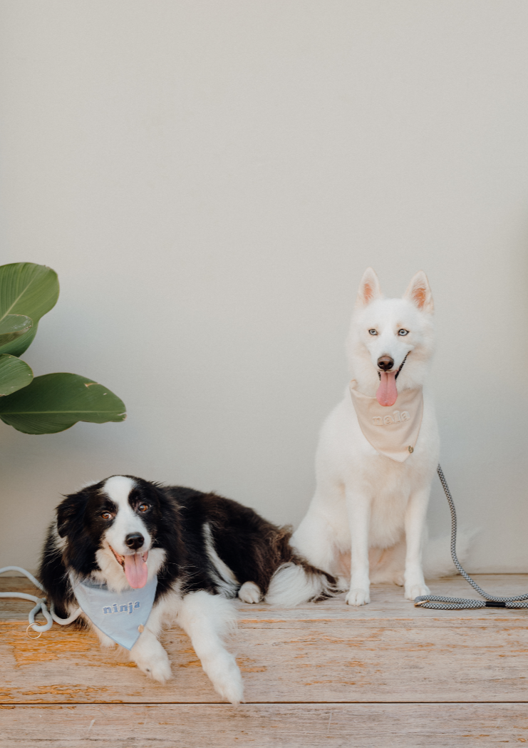 Cloud Linen Dog Bandana