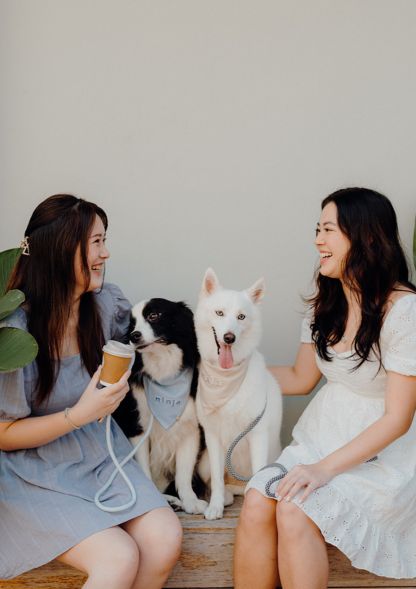 Cloud Linen Dog Bandana