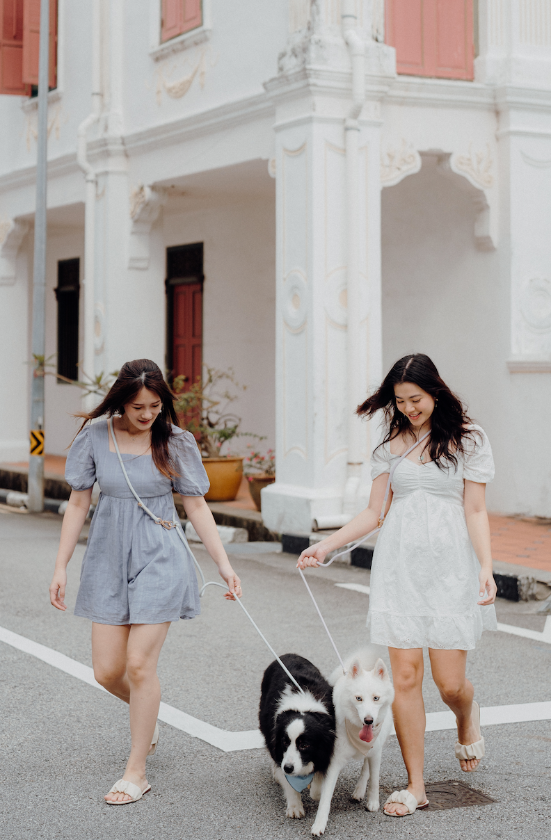 LAVENDER Dog Hands-Free Leash