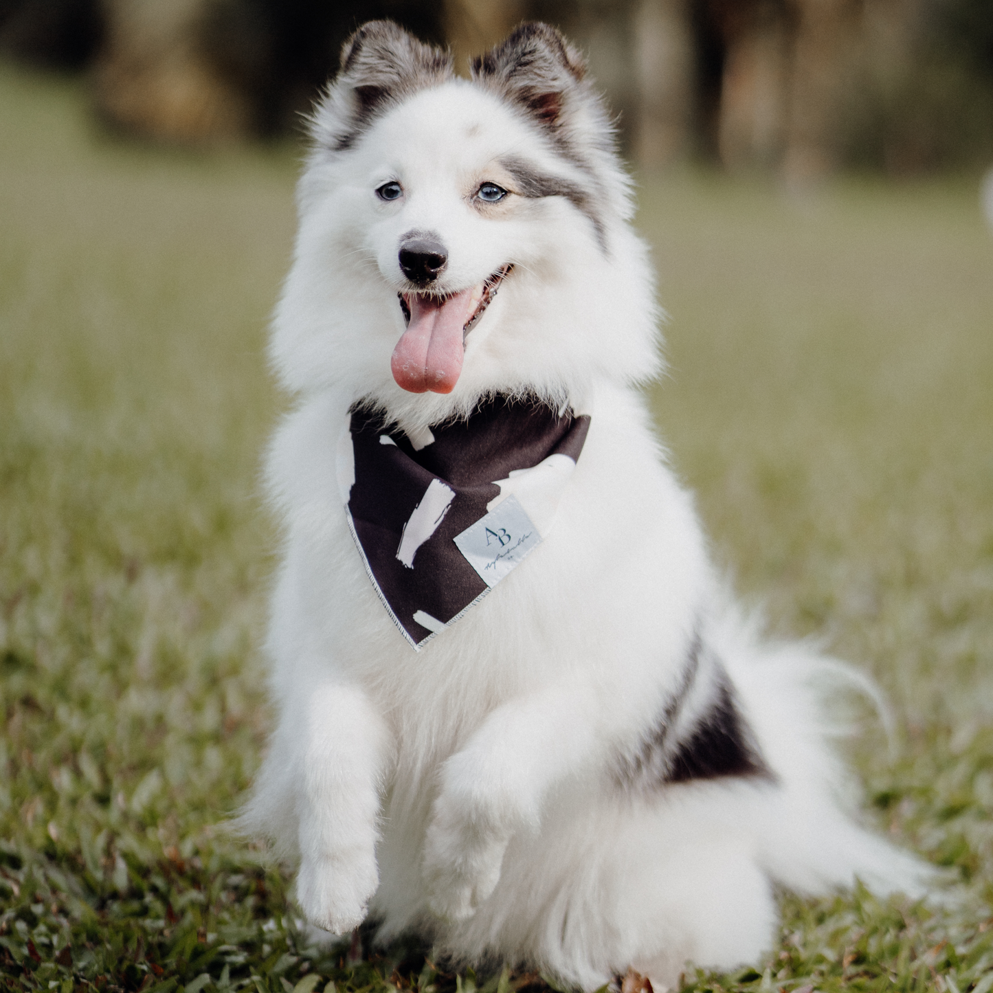 P.S. I Love You Dog Bandana