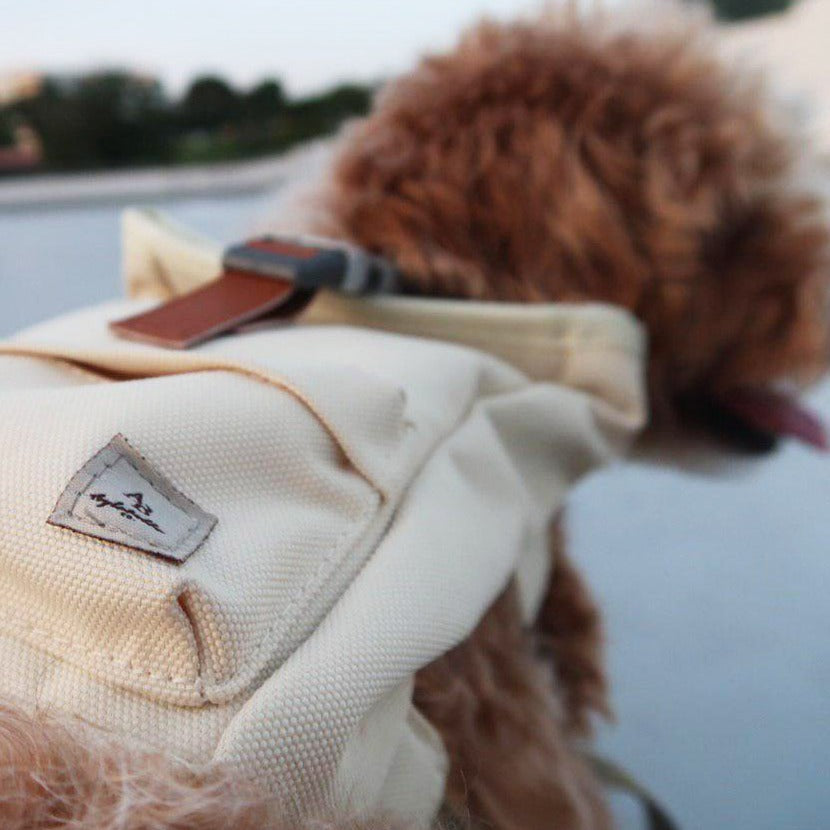 Cream Dream Dog Harness Backpack