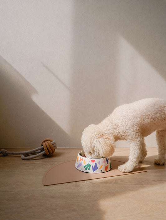 Willow Bowl Non-Slip Dog Bowl