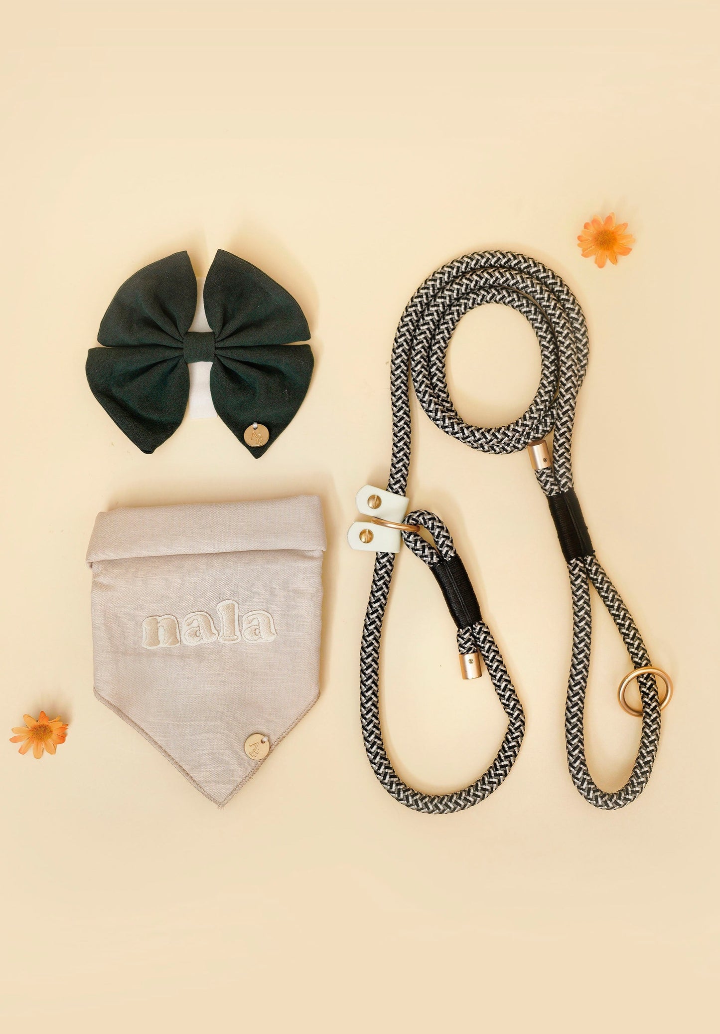 DUSK Dog Slip Leash