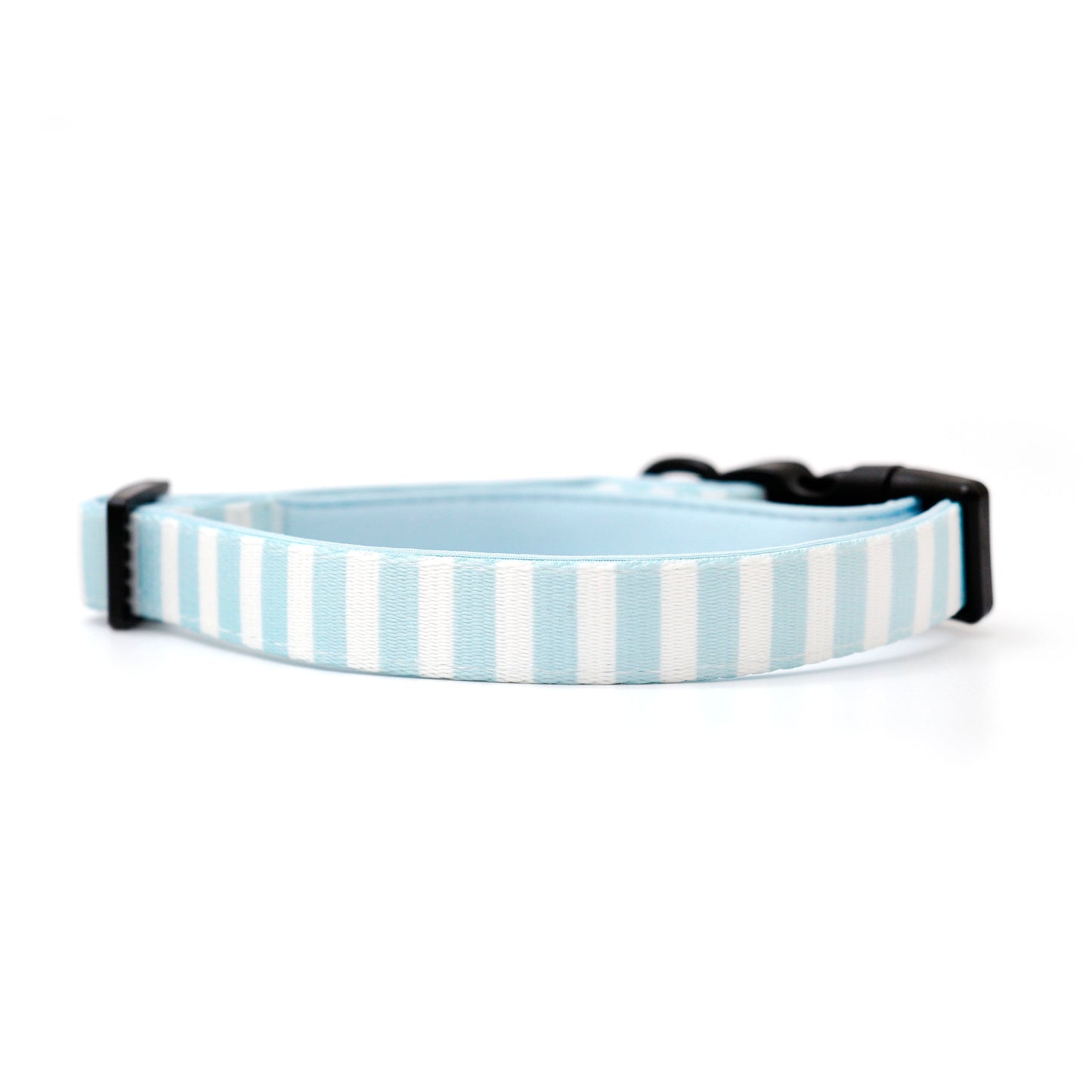 Brighton Dog Collar