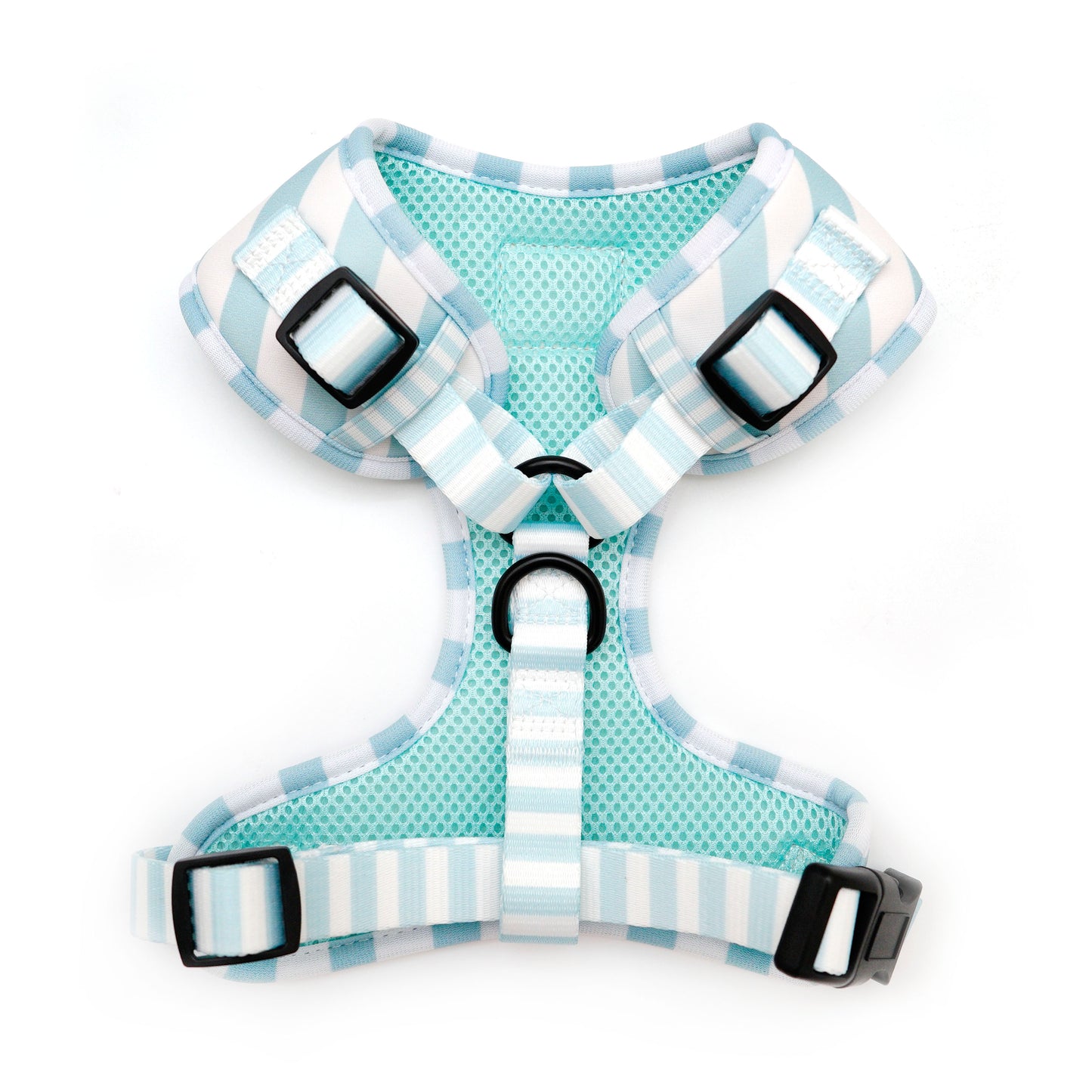 Brighton Dog Harness