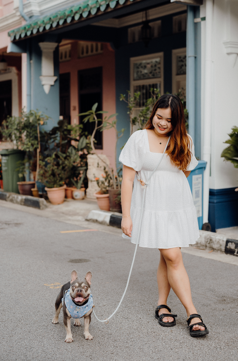 CLOUD Dog Hands-Free Leash