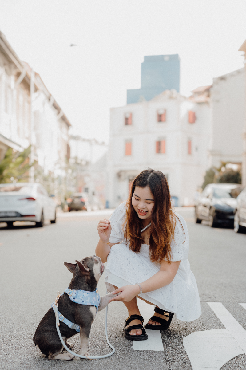 CLOUD Dog Hands-Free Leash