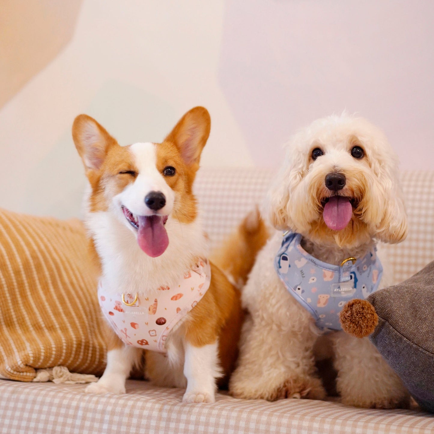 Sea-lly Creatures Dog Harness