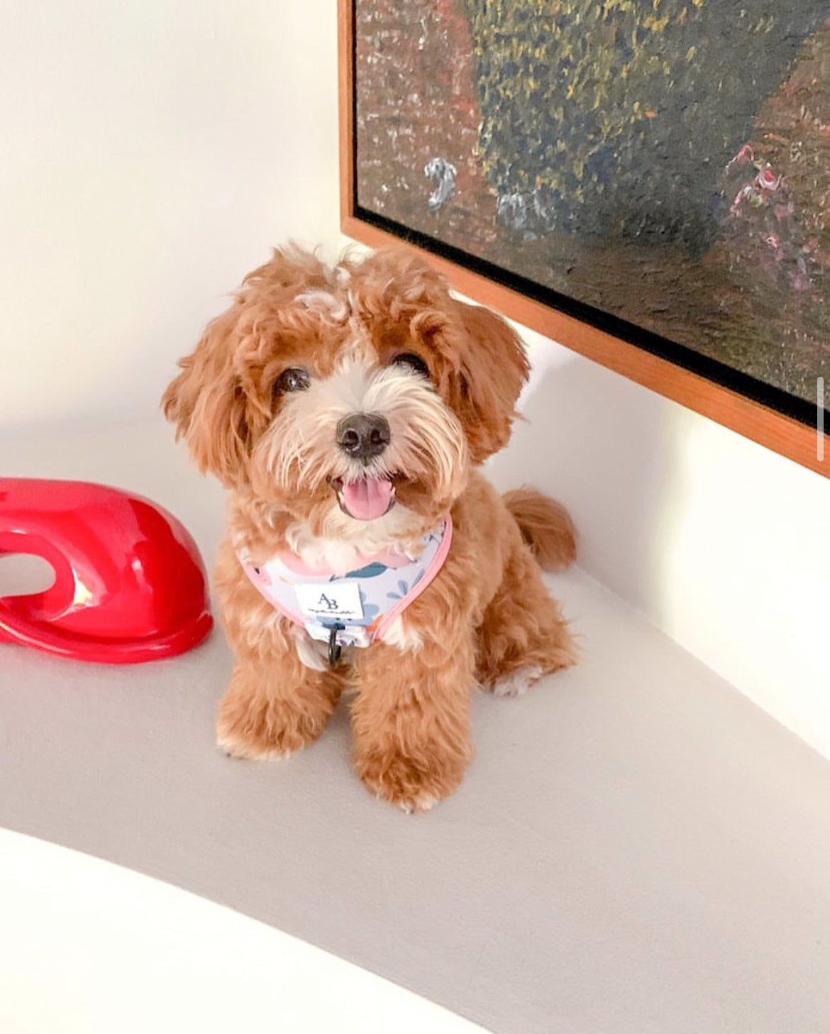 The Botanical Dog Harness