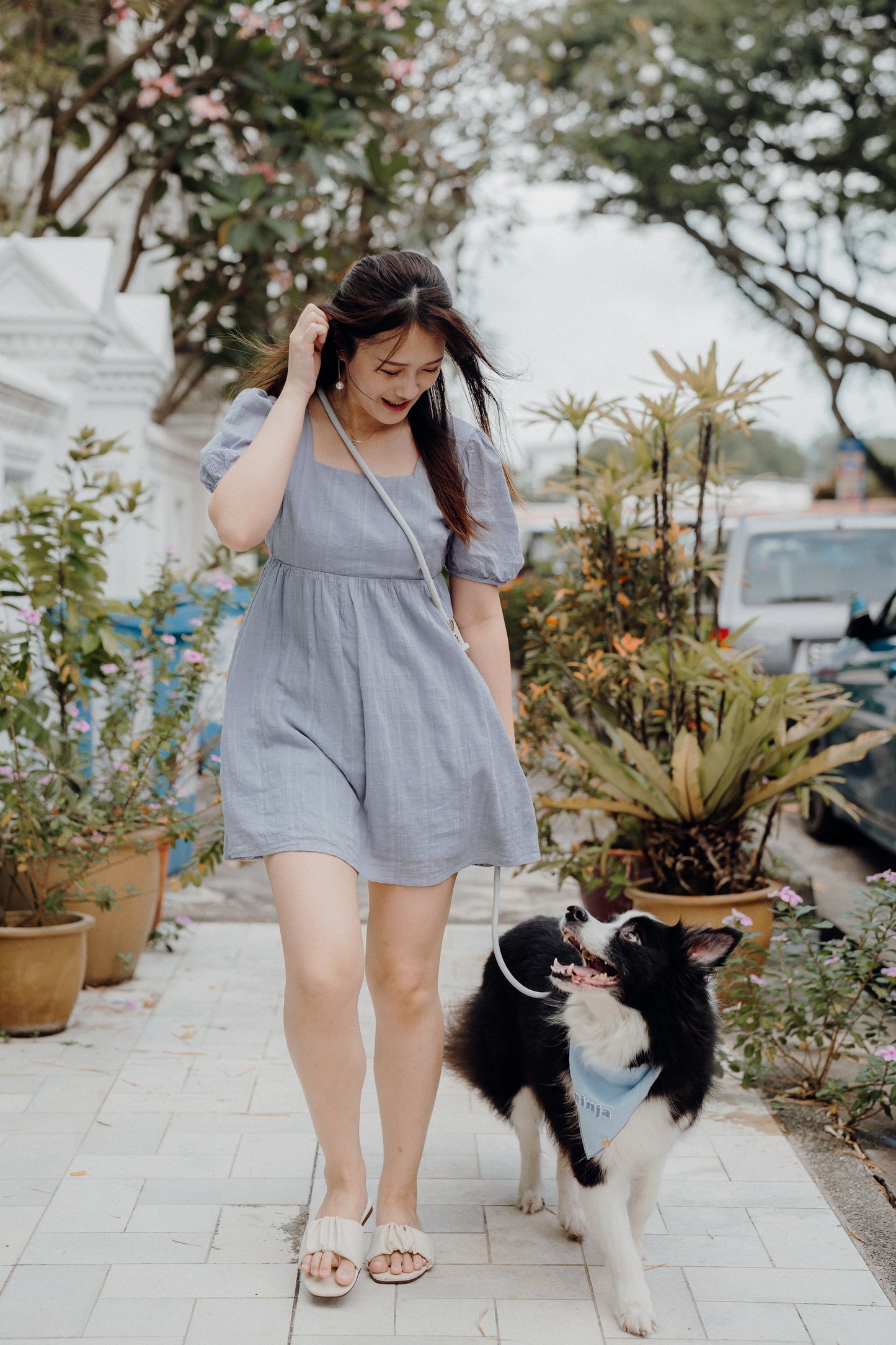 CLOUD Dog Hands-Free Leash