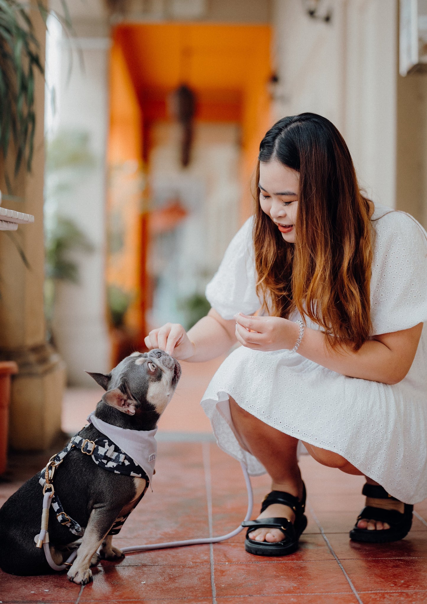 LAVENDER Dog Hands-Free Leash