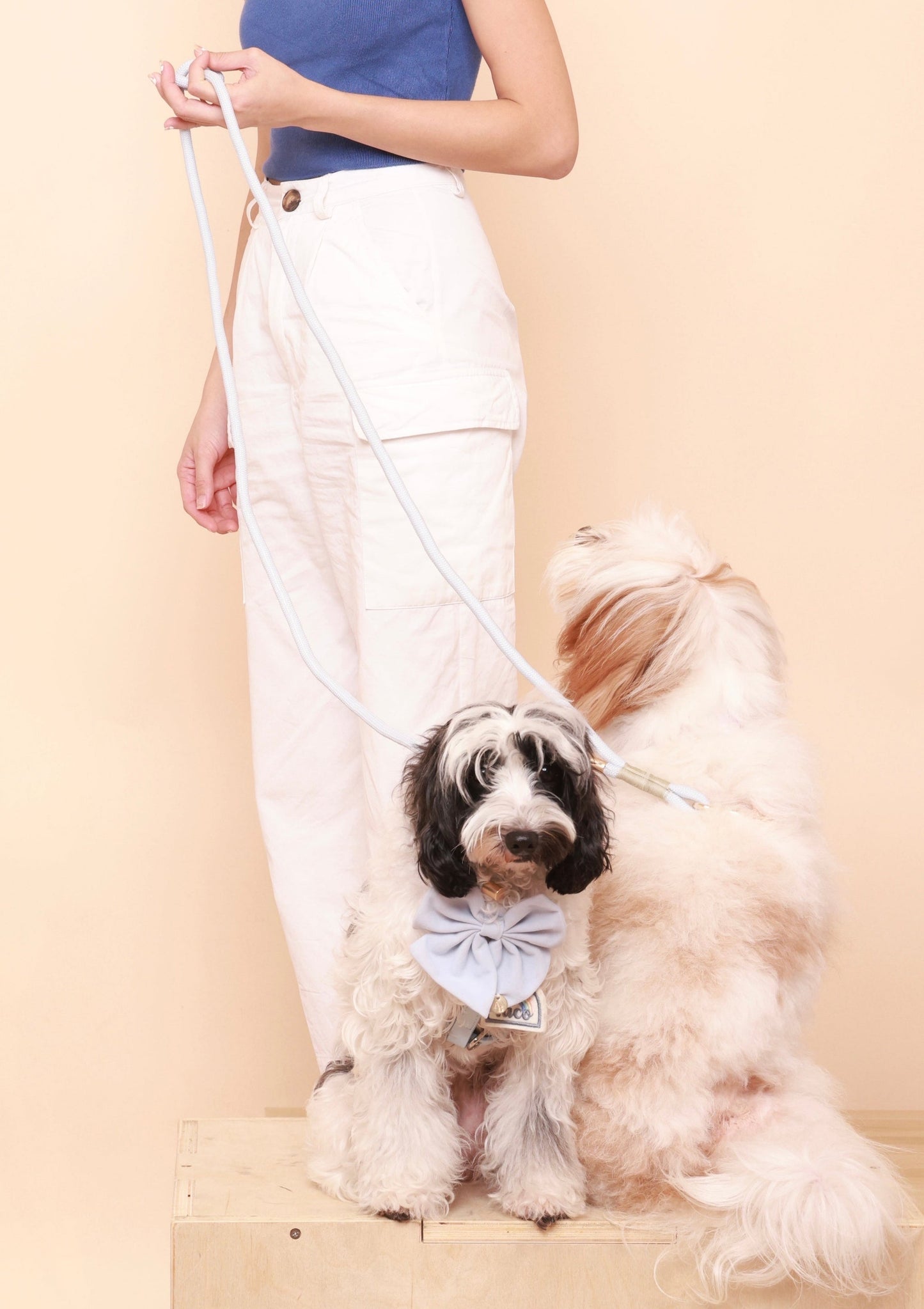 CLOUD Dog Hands-Free Leash