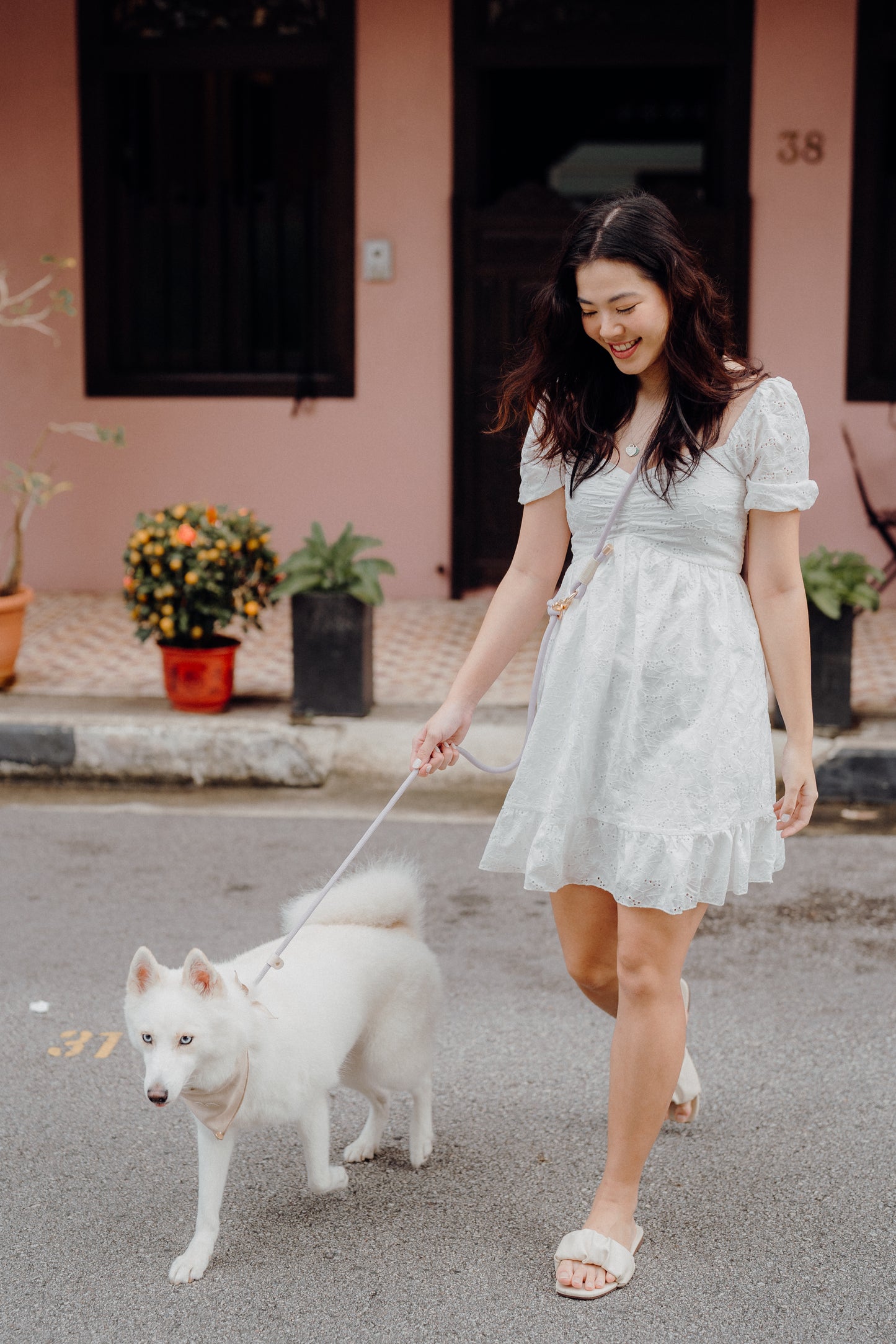 LAVENDER Dog Hands-Free Leash