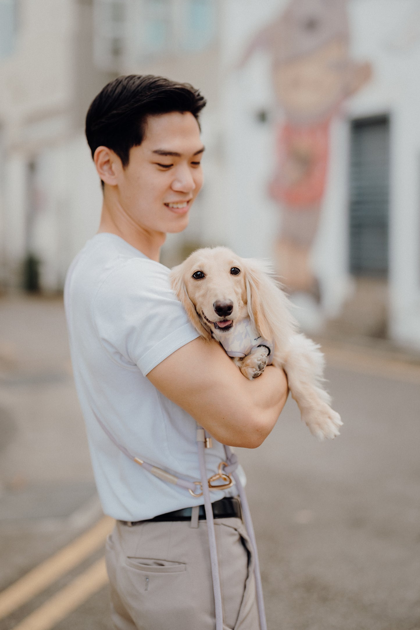 LAVENDER Dog Hands-Free Leash