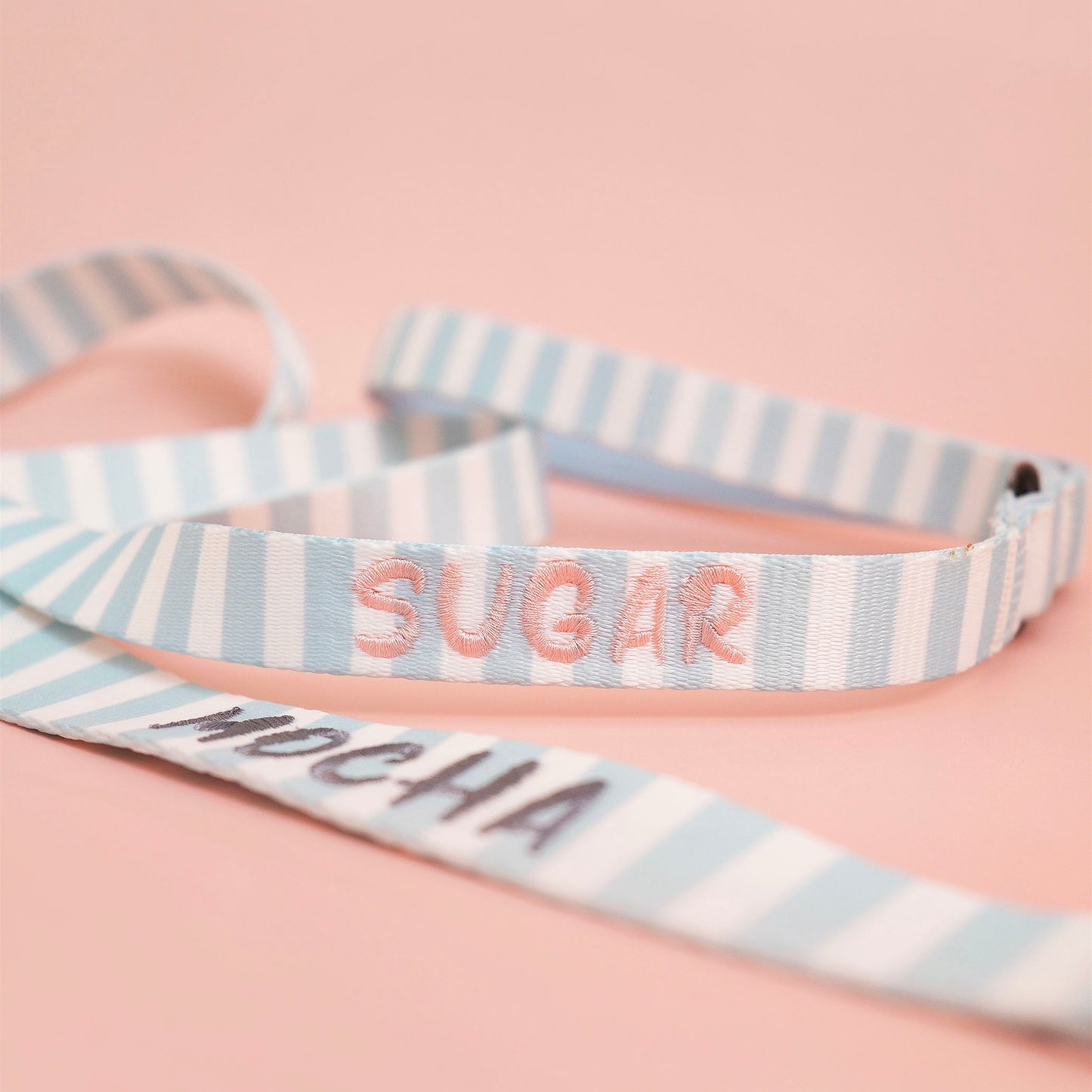 Summer Sloths Dog Leash