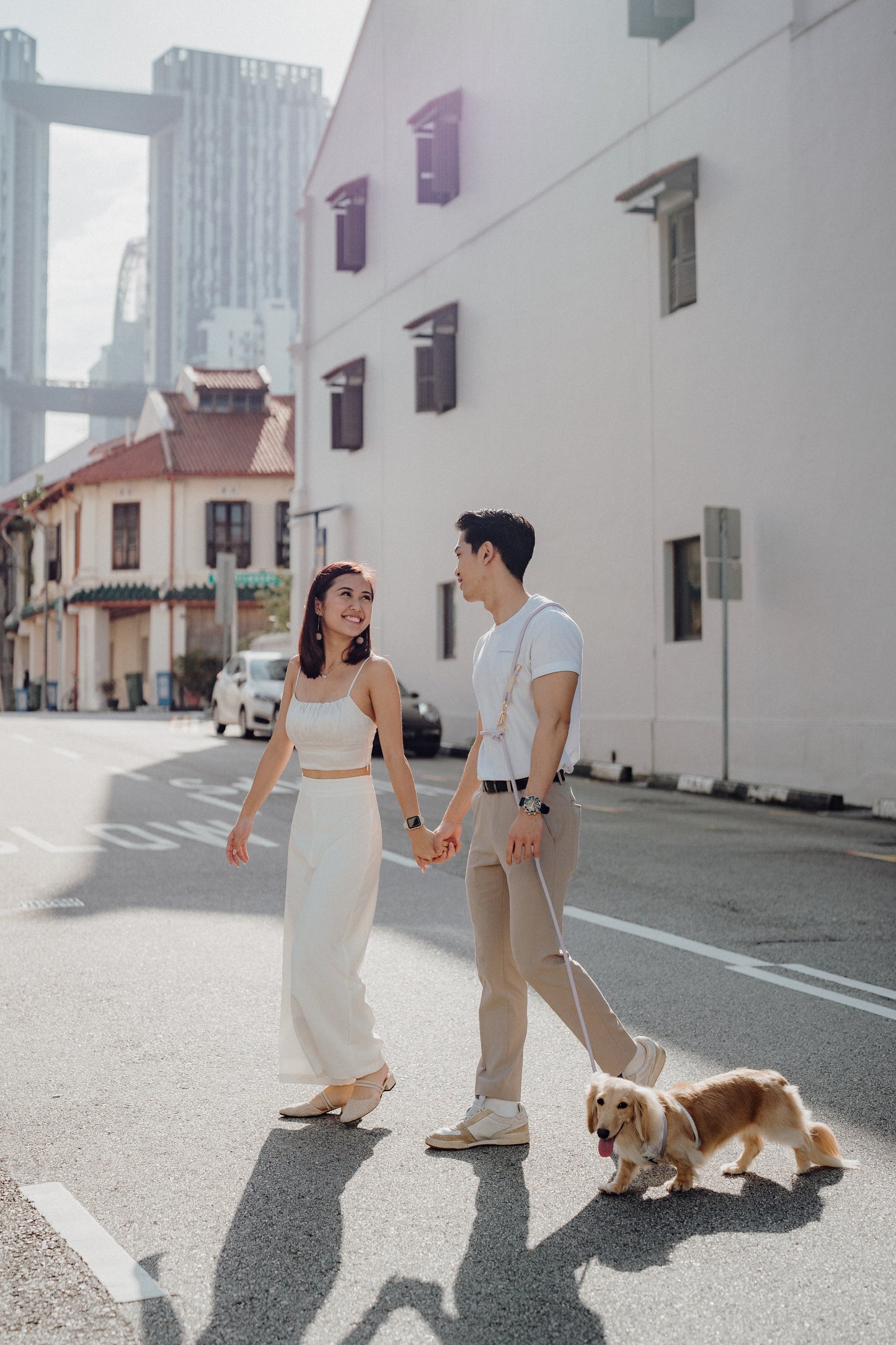 LAVENDER Dog Hands-Free Leash