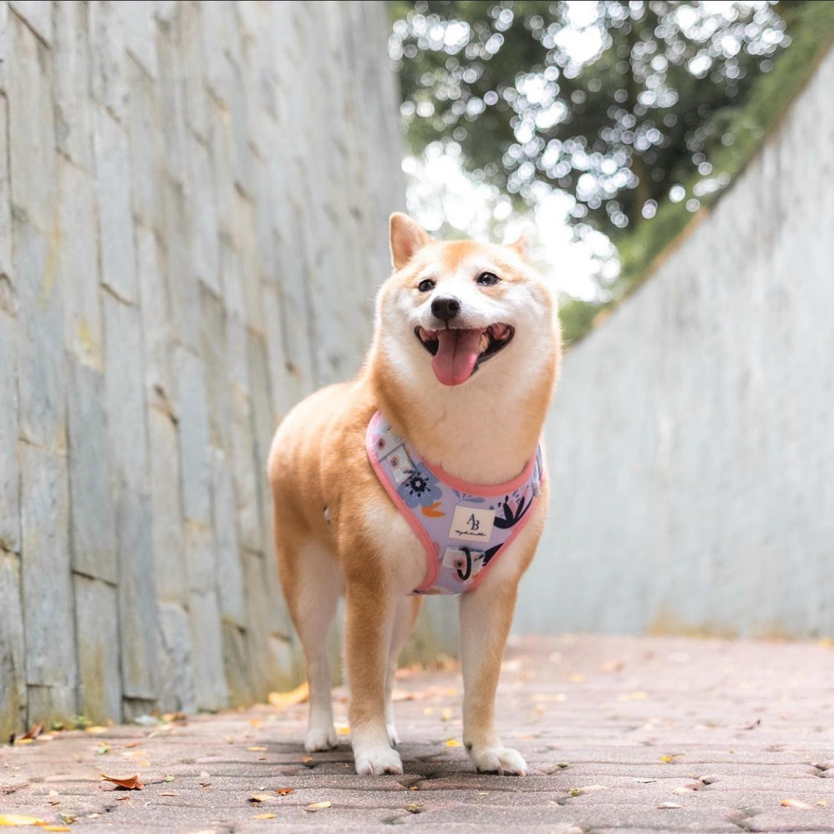 The Botanical Dog Harness
