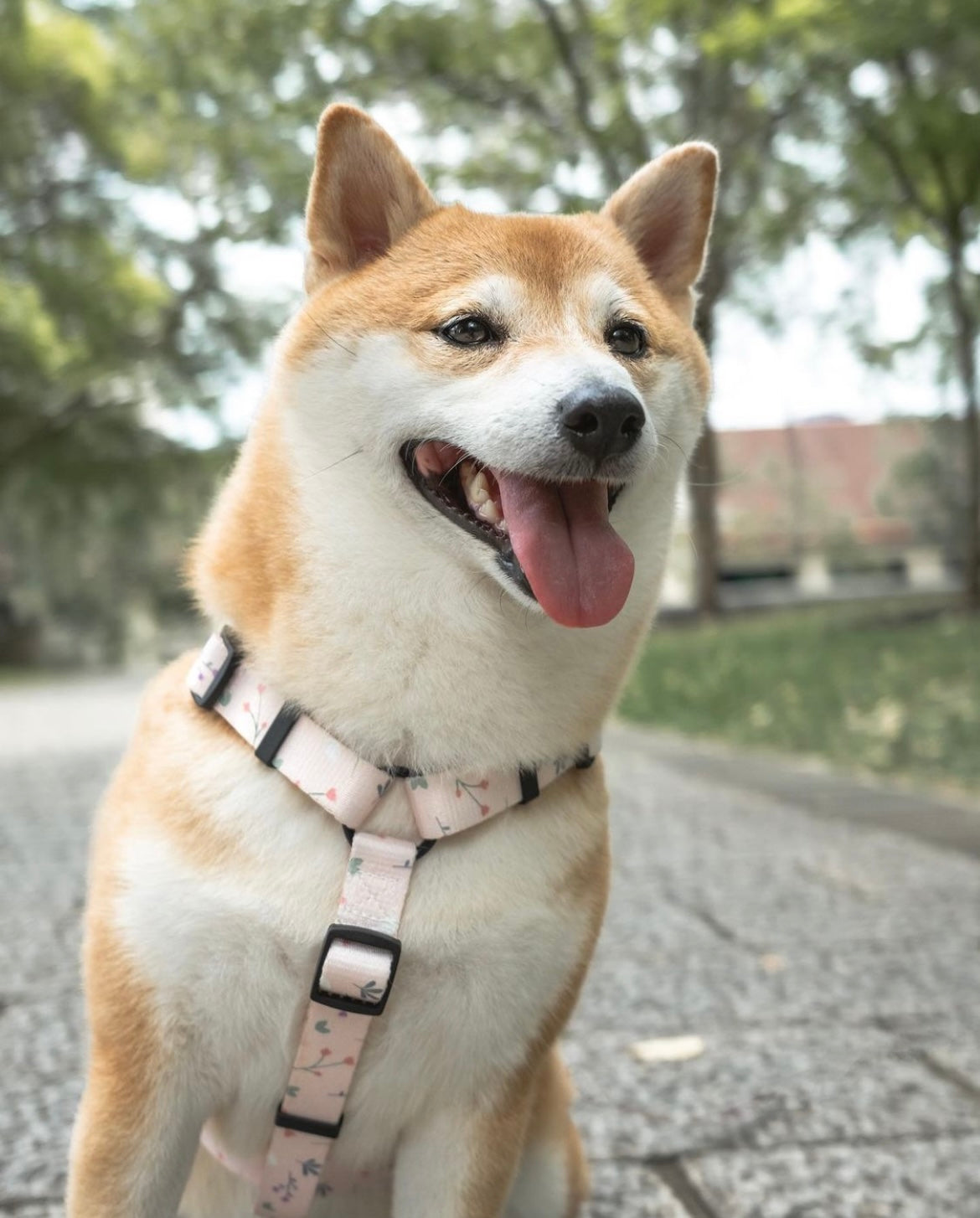 Pink Blossom Dog H-Harness