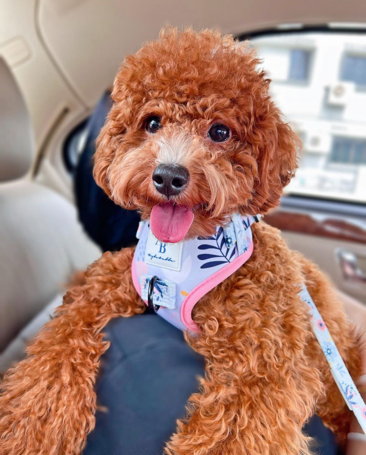 The Botanical Dog Leash