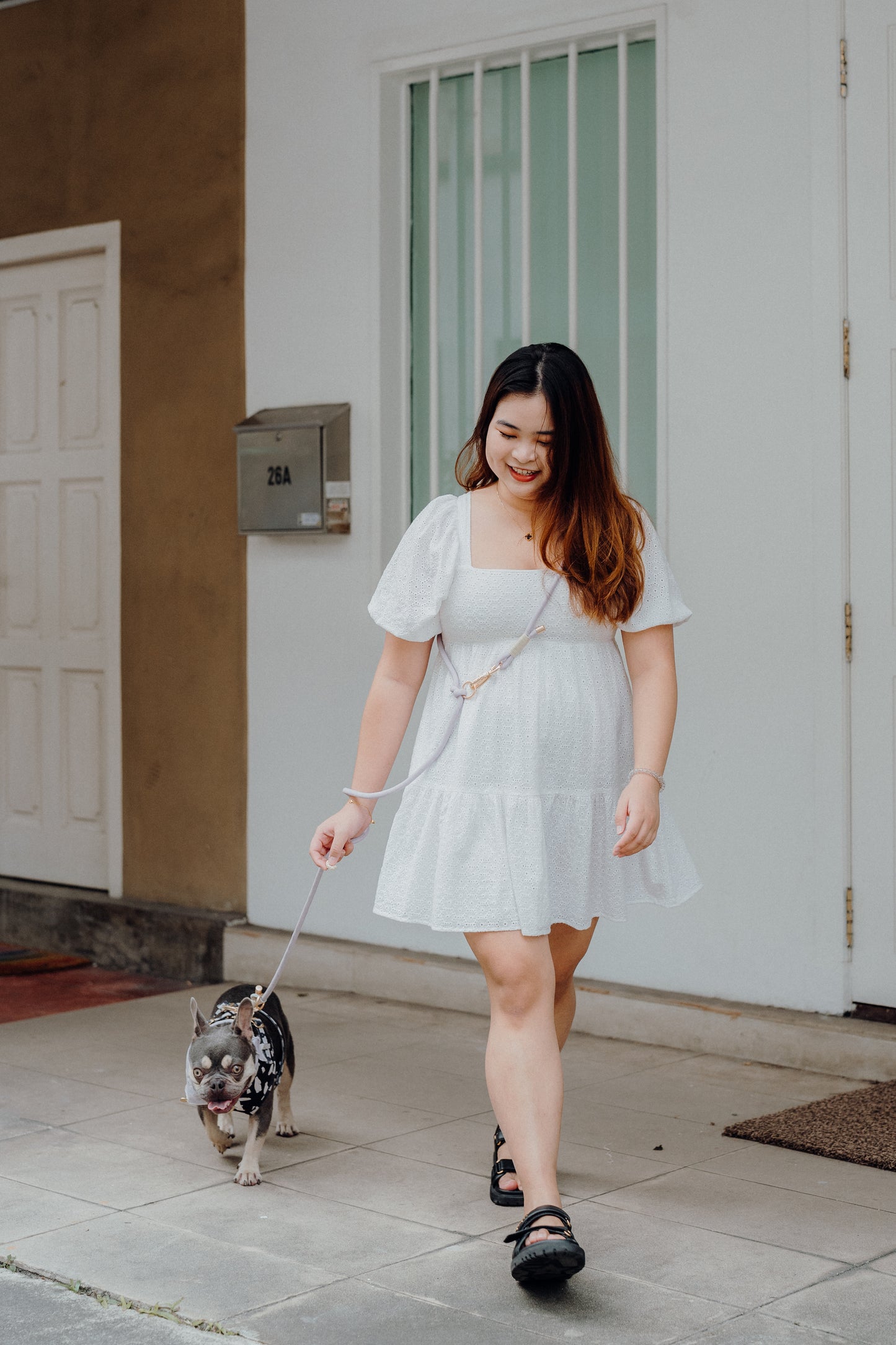 LAVENDER Dog Hands-Free Leash