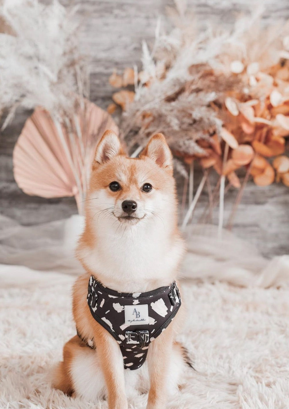 P.S. I Love You Dog Harness