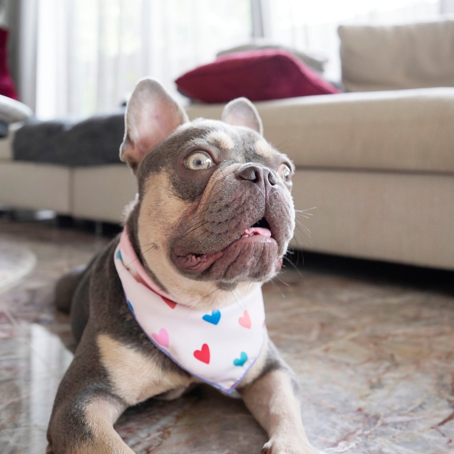 Anjou Reversible Bandana (Pear/Hearts)