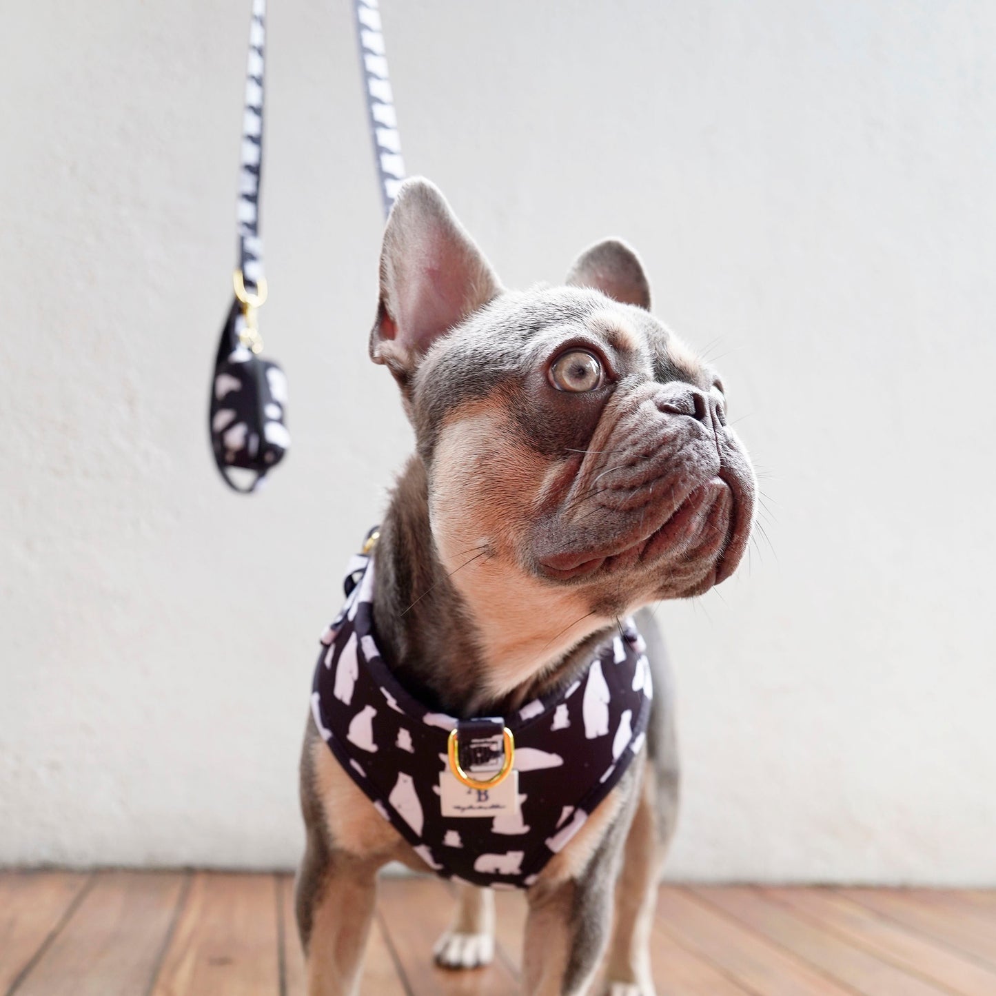 Snow Bear Dog Harness