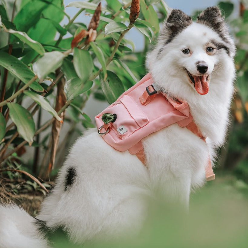 Kylie Harness Dog Harness Backpack