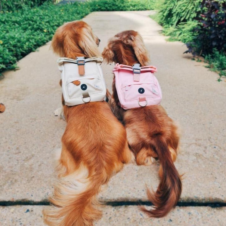 Kylie Harness Dog Harness Backpack