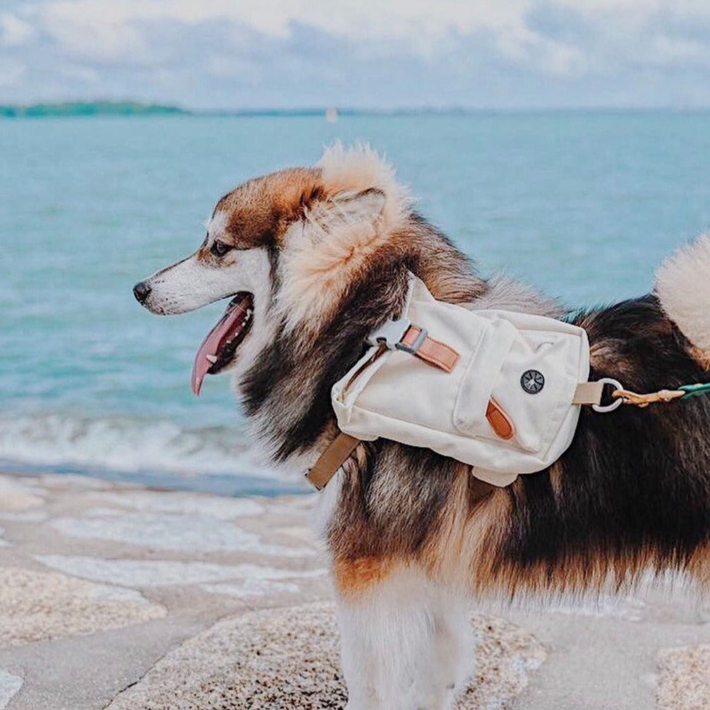 Cream Dream Dog Harness Backpack
