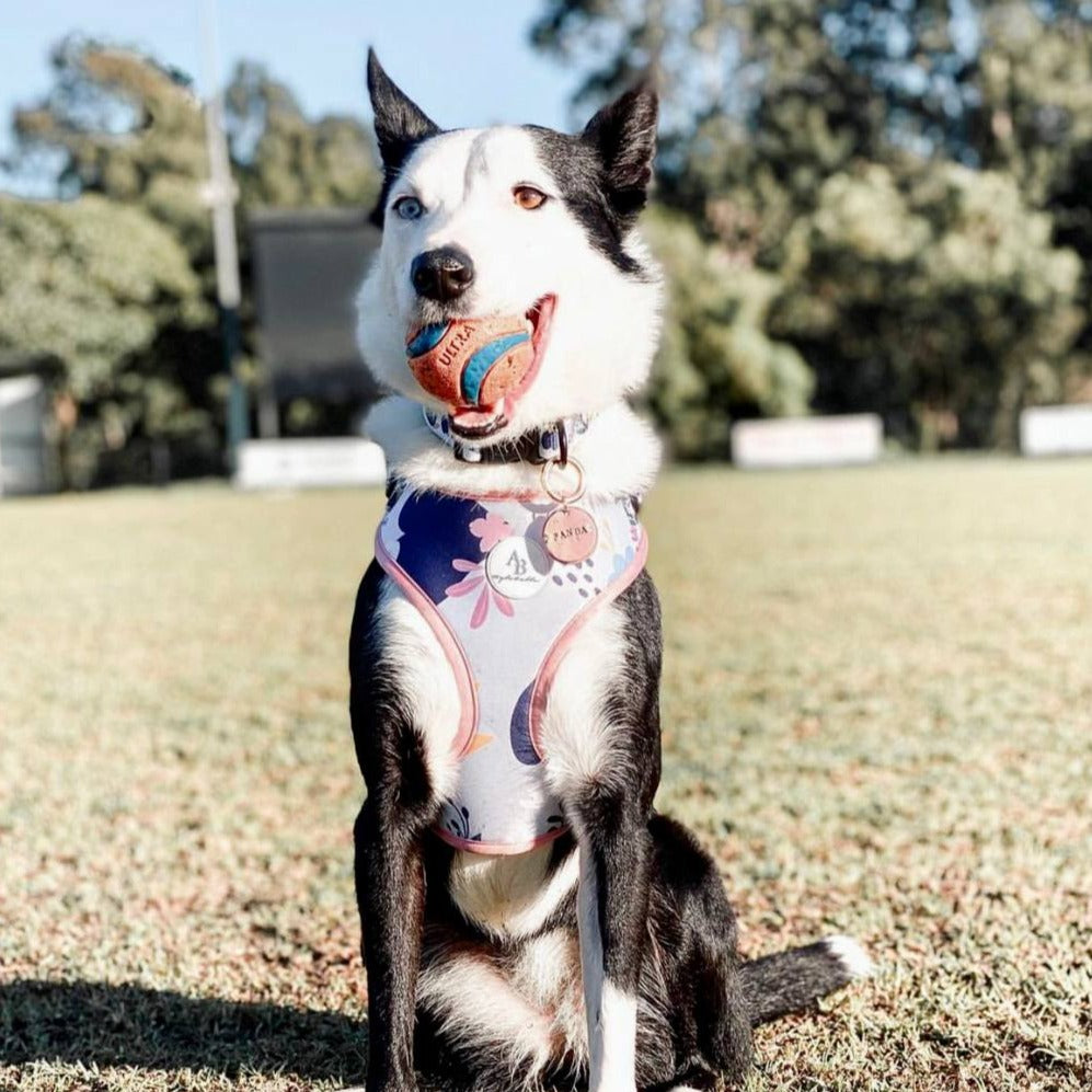 The Botanical Dog Harness