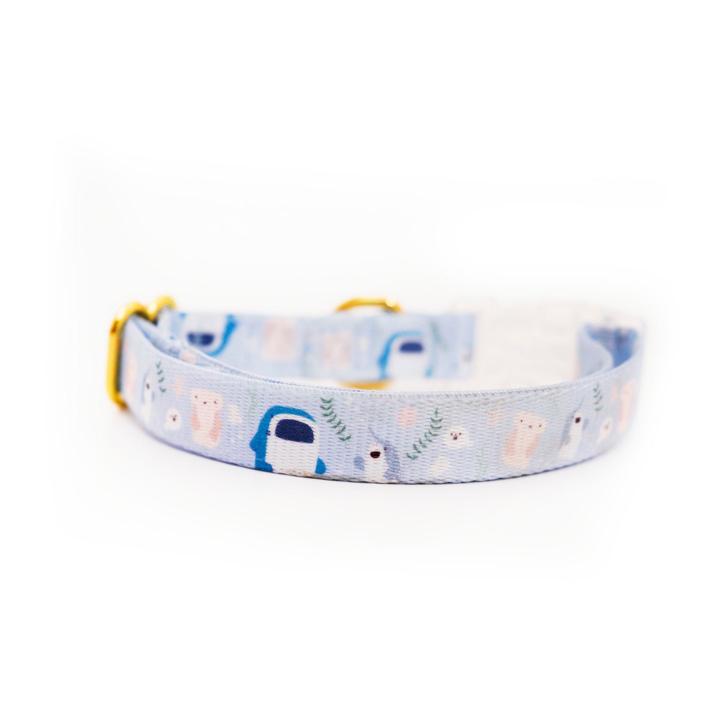 Sea-lly Creatures Dog Collar