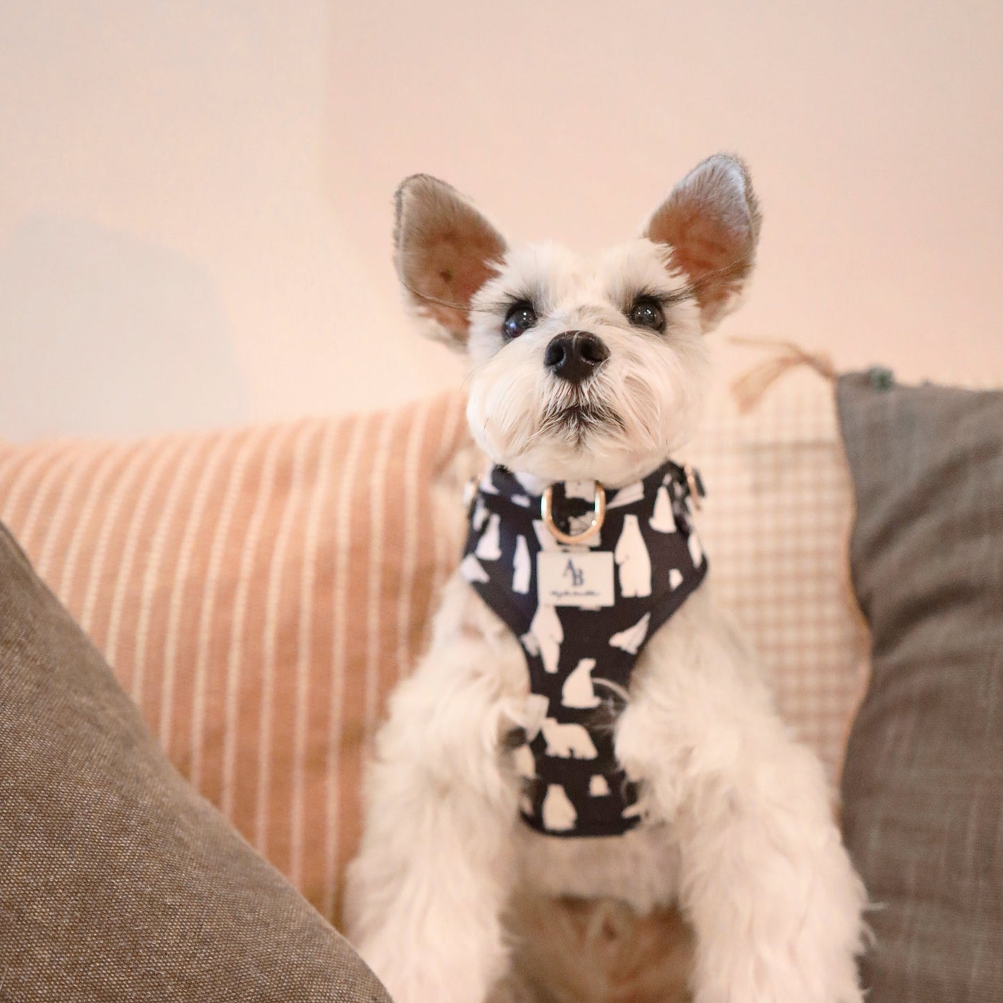 Snow Bear Dog Harness