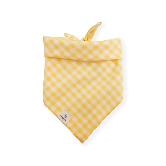 Sunkissed Dog Bandana