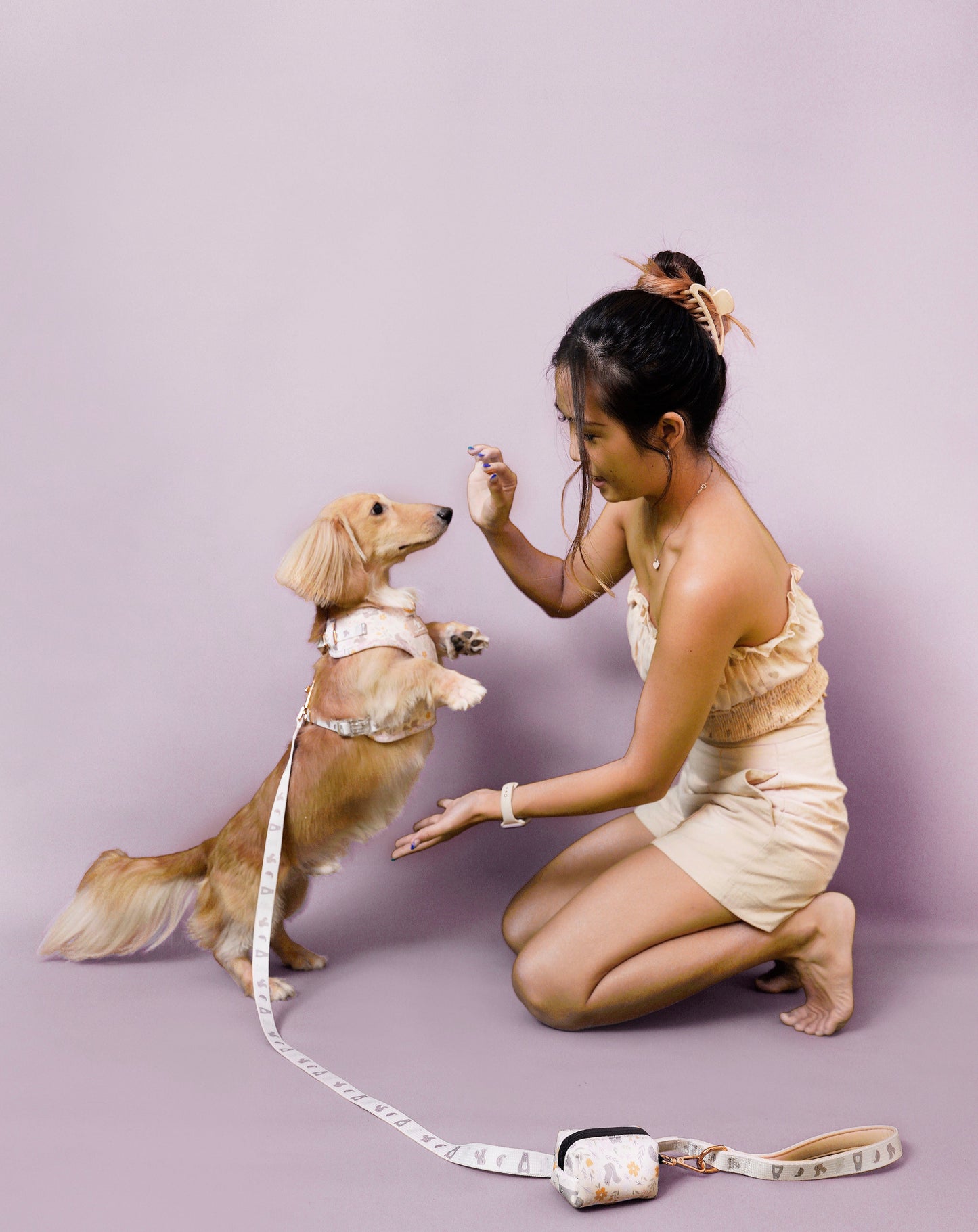 Little Wonders Dog Harness