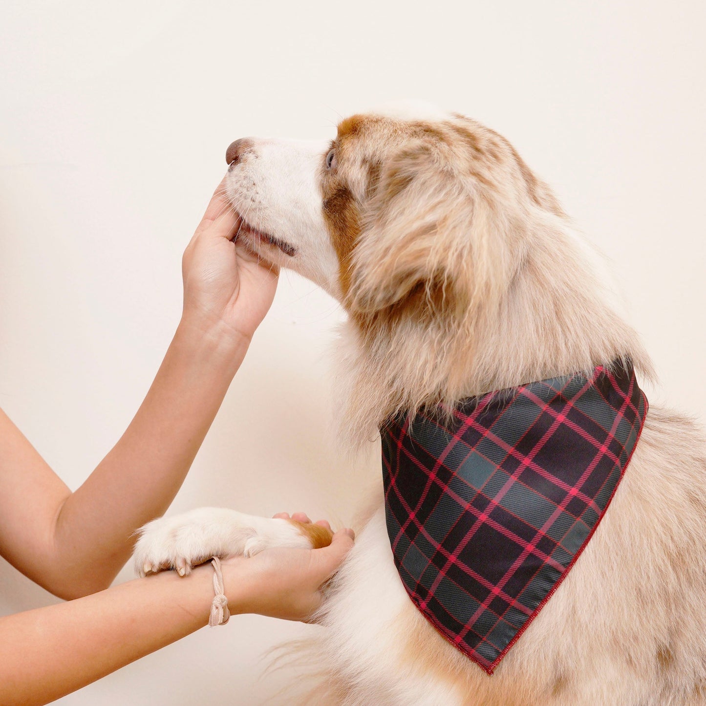 The Lighthouse Keeper Reversible Bandana